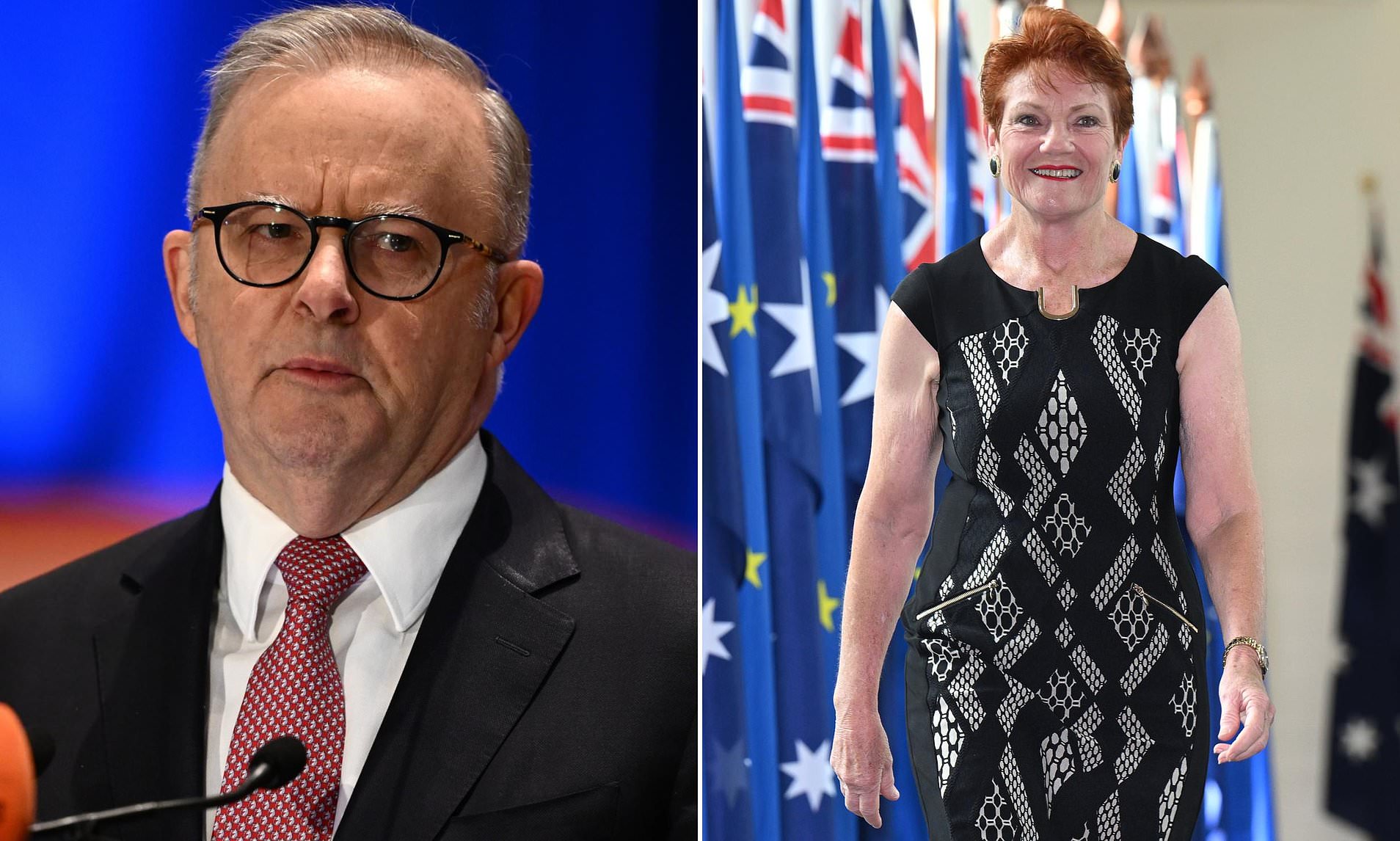 One Nation regains lead over Labor in surprise new poll - but it's not all bad news for Albo