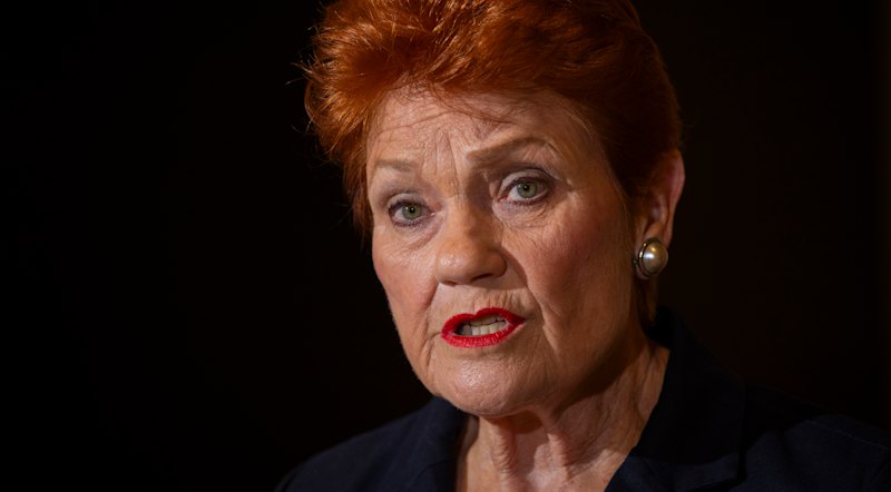 One Nation tops latest poll to dethrone Labor again