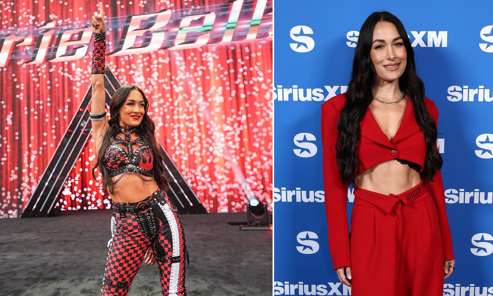 Brie Bella sent to hospital with wrestling-induced injury