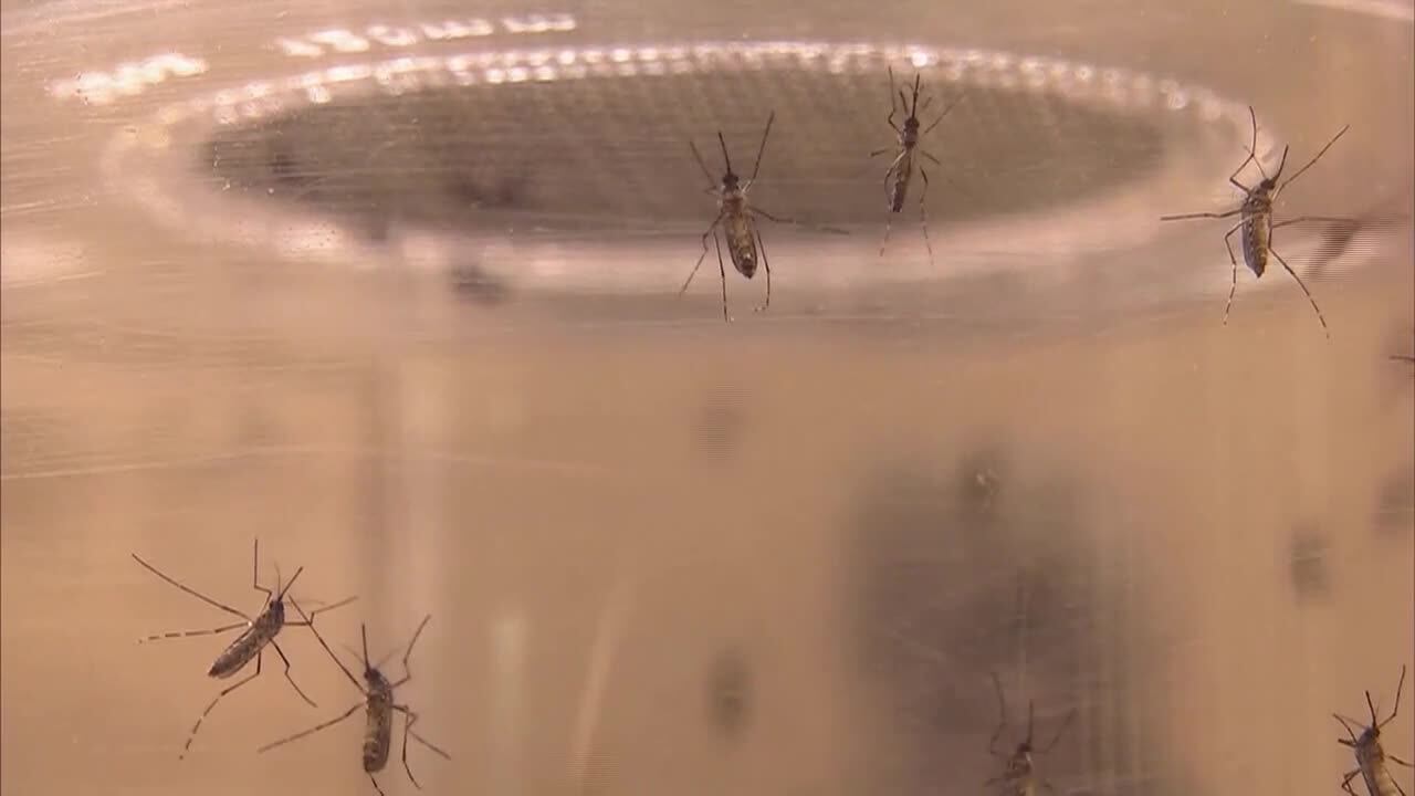 Kansas health officials warn of high West Nile virus risk statewide
