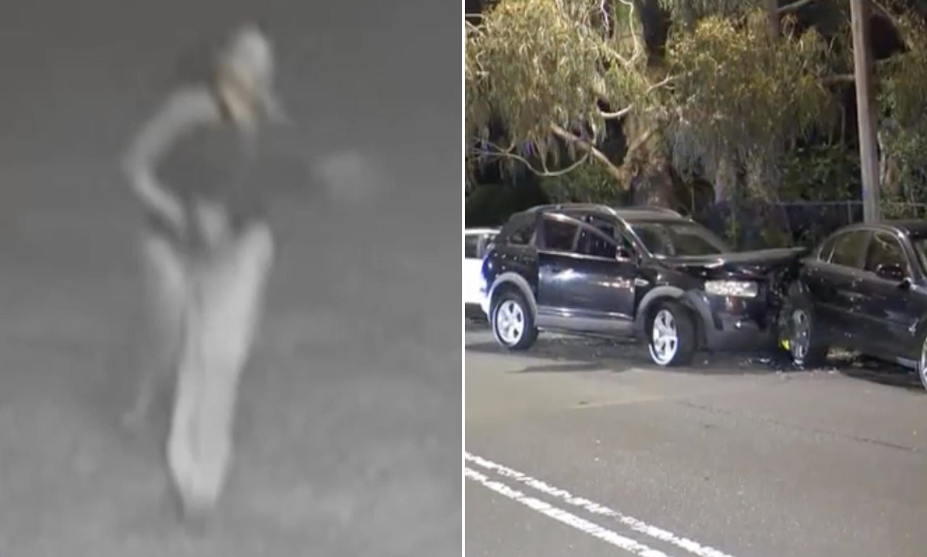 Woman wanted by police crashes into parked cars after she allegedly drove at cops