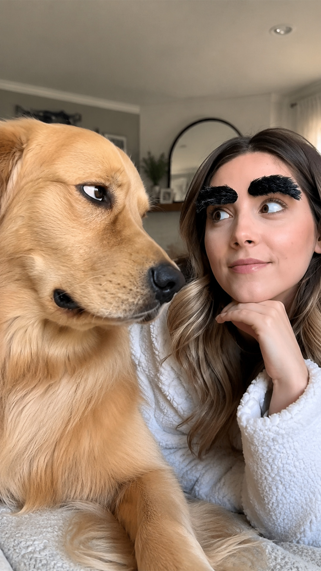 Golden retriever reacts to fake eyebrows