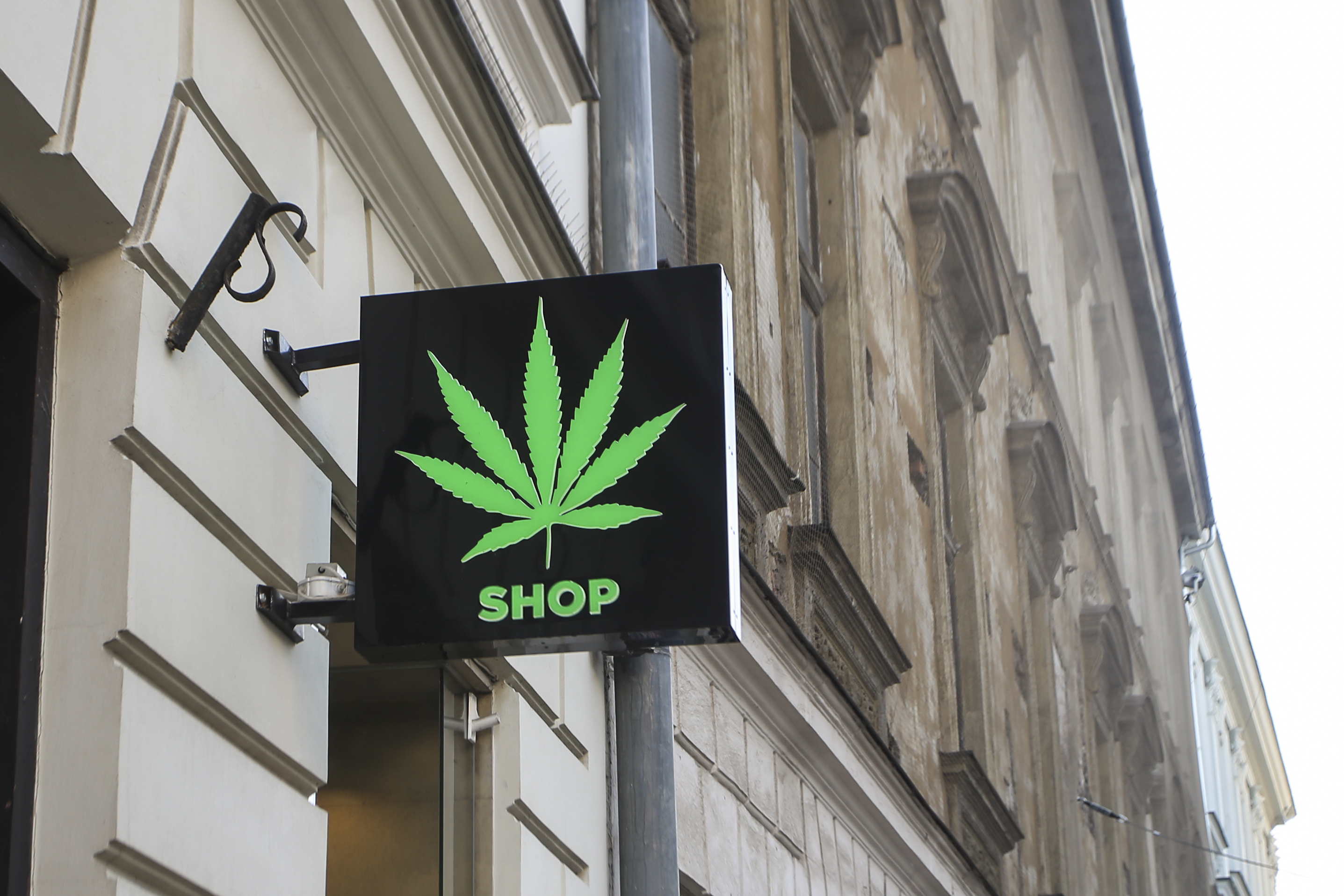 Is Green Thumb the safest cannabis stock to own right now?