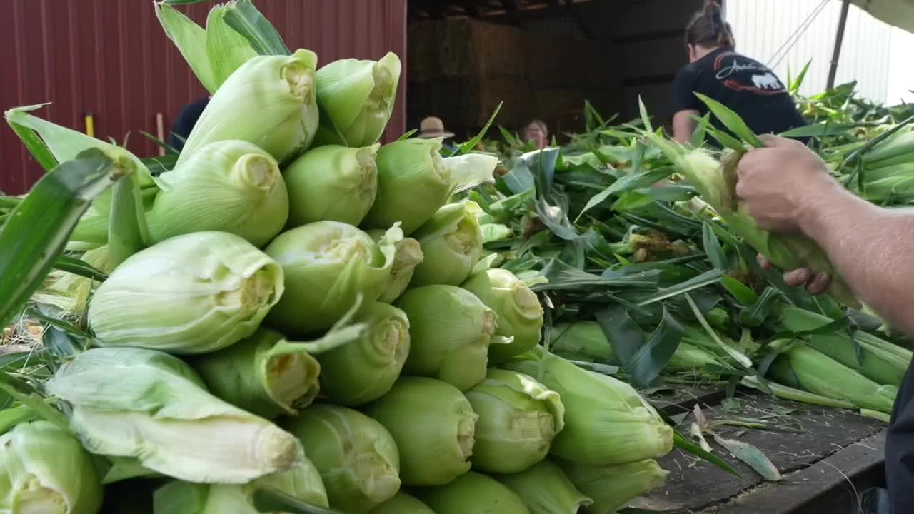 DeWitt Township farm raises sweet corn prices amid rising fuel and ...