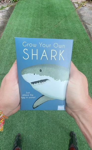 Growing a shark from start to finish