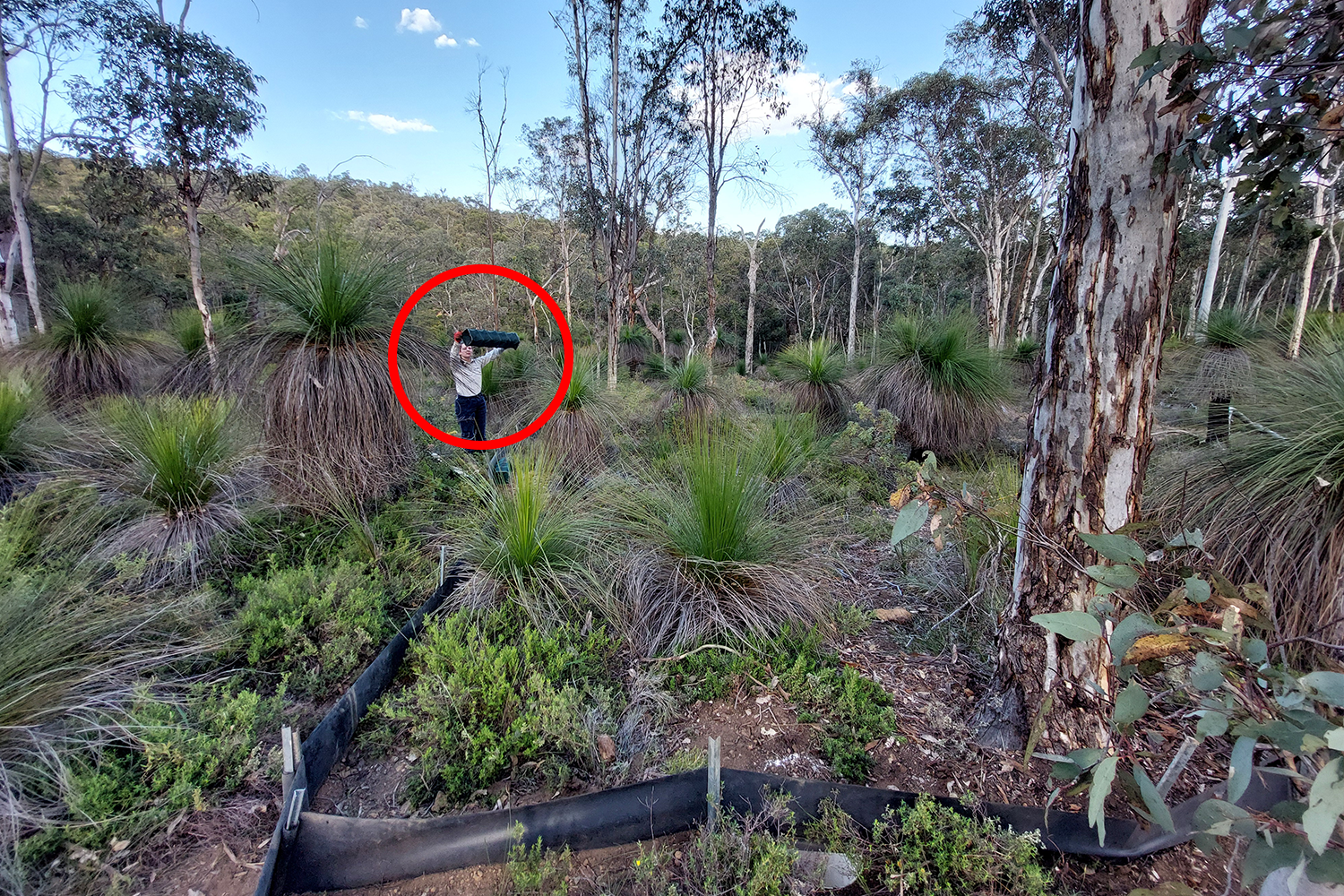 27-year search leads to 'exciting' rare find on Perth property