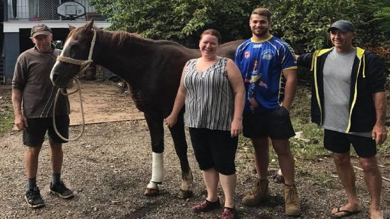 One family tried to rescue a drowning horse