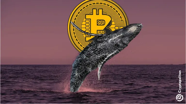 Dormant whale moves $1 billion in Bitcoin as market sits 50% below peak