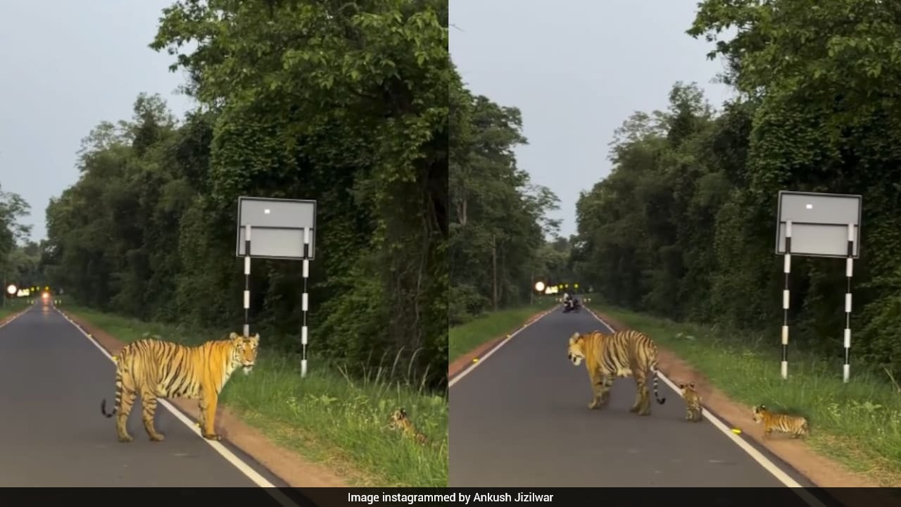https://img-s-msn-com.akamaized.net/tenant/amp/entityid/AA29hZ3Z.img?w=768&h=432&m=4&q=90