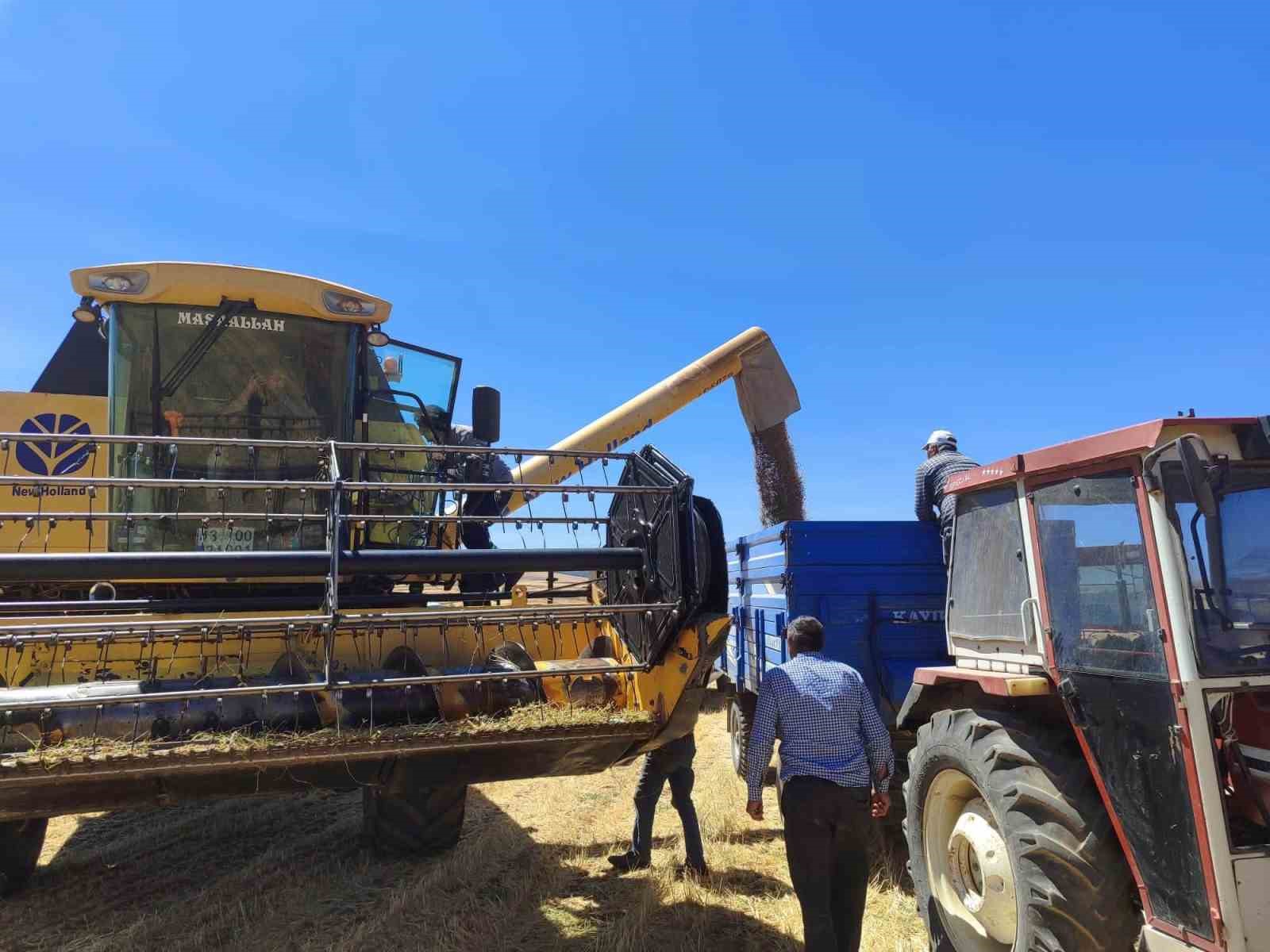 Kütahya’da yerli ve milli tohumlarda nohut hasadı gerçekleştirildi