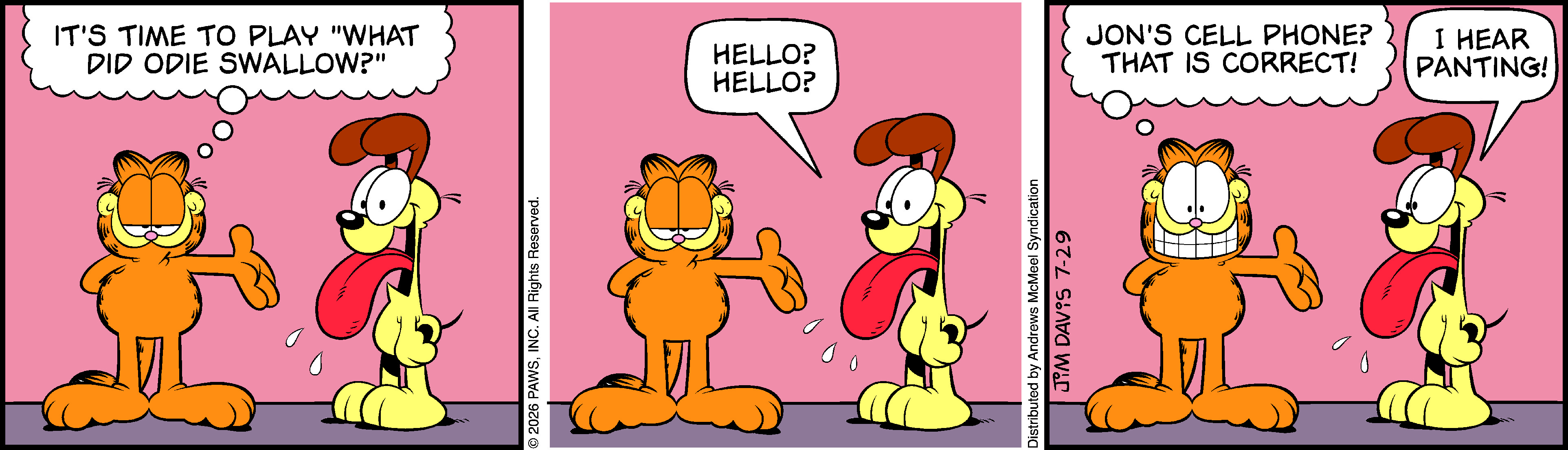 Garfield by Jim Davis