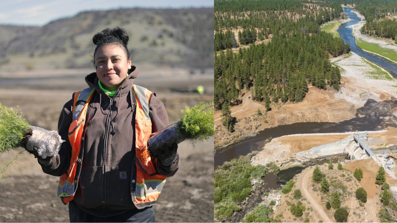 After America's largest dam removal, the Yurok Tribe is bringing an ...
