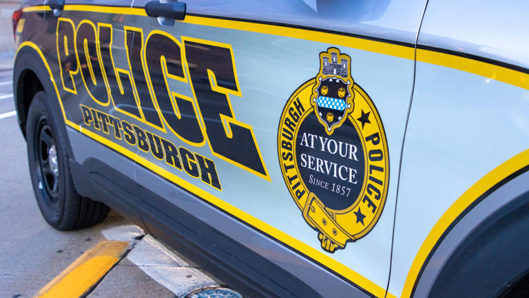 Man accused of chasing 2 children with knife at Pittsburgh park in ...