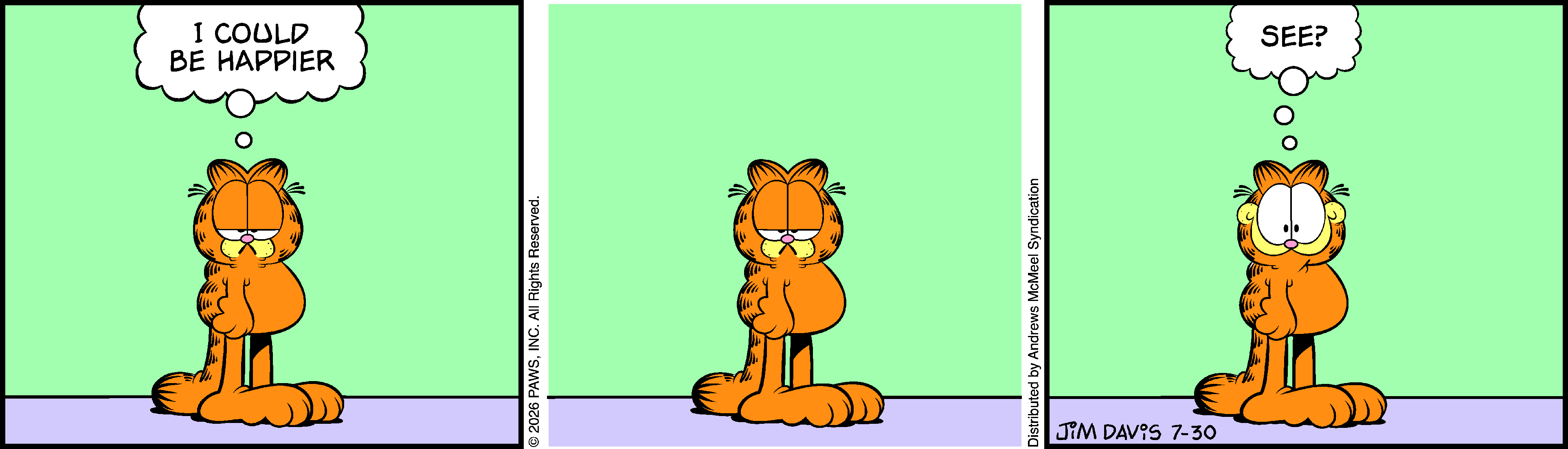 Garfield by Jim Davis