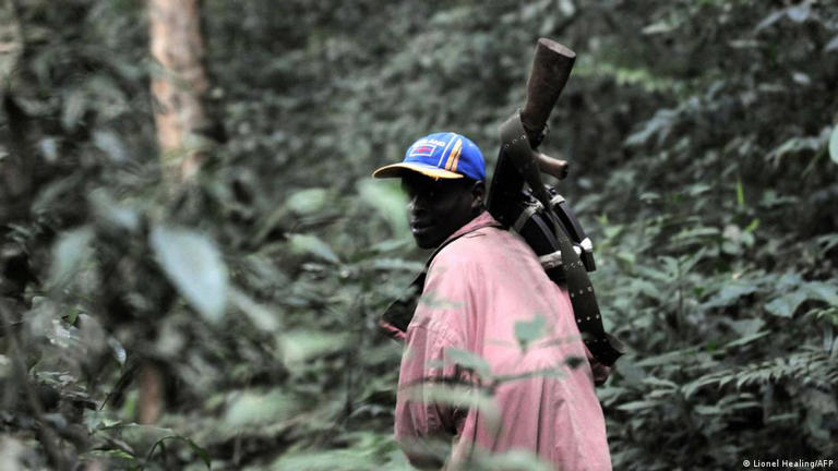 Kinshasa affirme avoir obtenu la reddition des FDLR, groupe armé actif dans l'est de la RDC et composé notamment d'anciens responsables hutu impliqués dans le génocide des Tutsi au Rwanda en 1994.