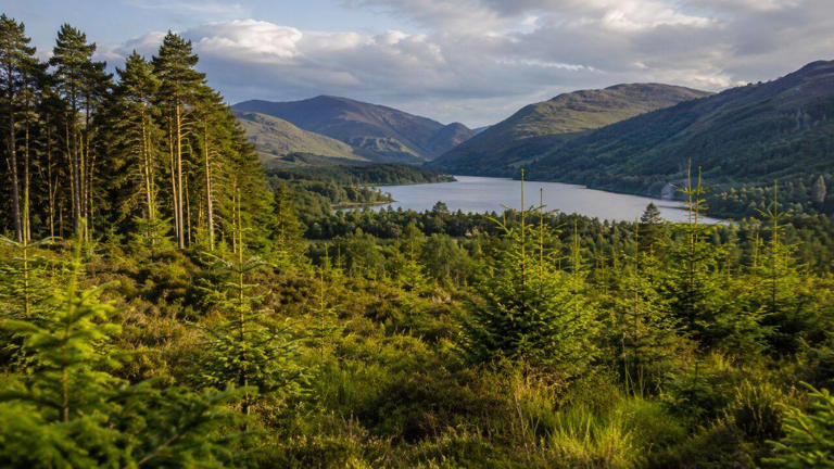 In 1986, Alan Watson Featherstone promised to restore Scotland's ...