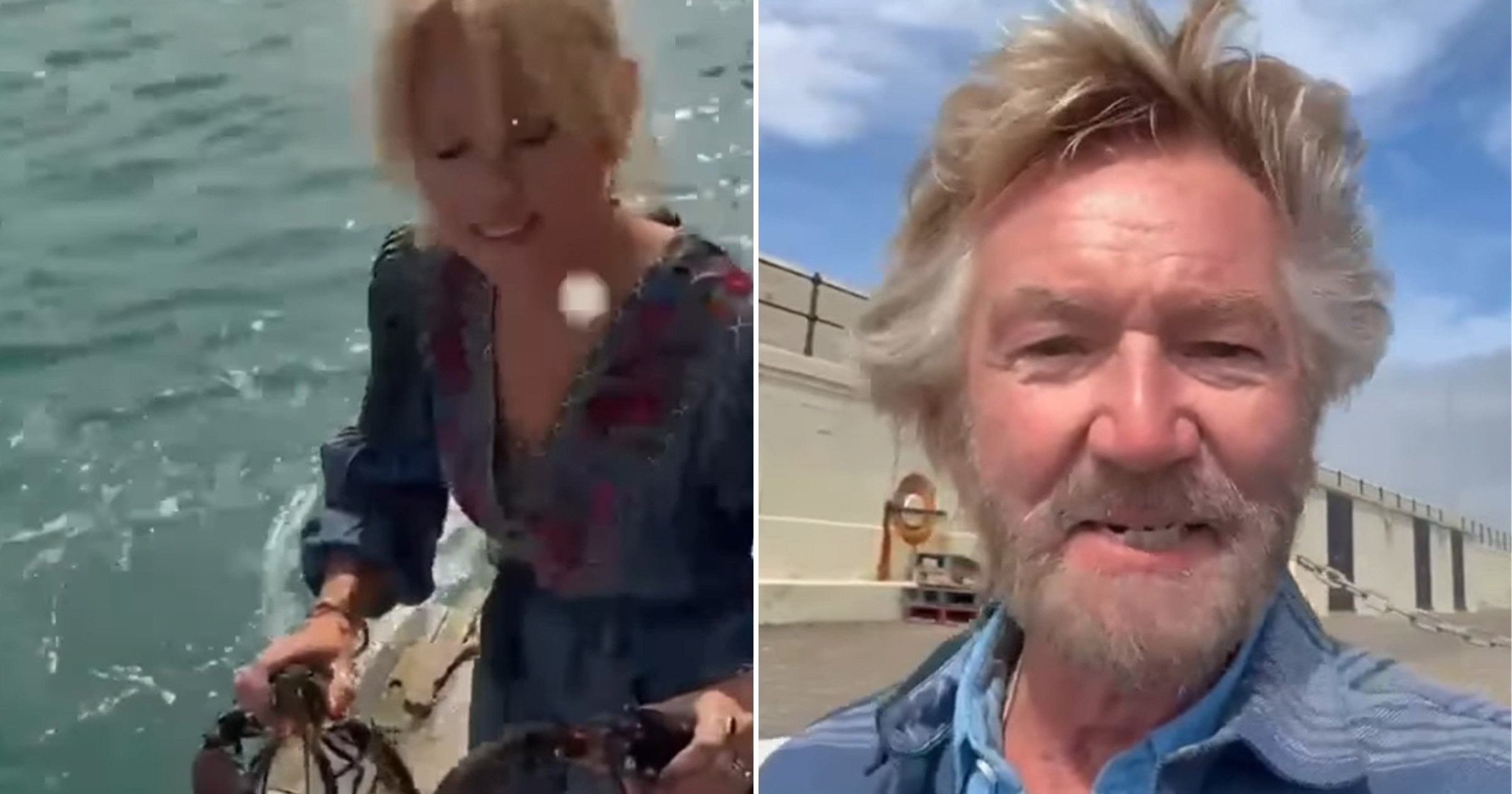 PETA responds to Noel Edmonds releasing store-bought lobsters into the sea