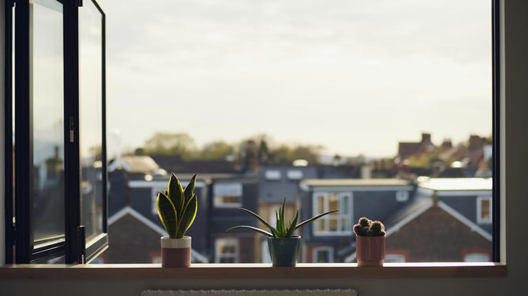 Create a beautiful DIY wooden window sill to highlight the view