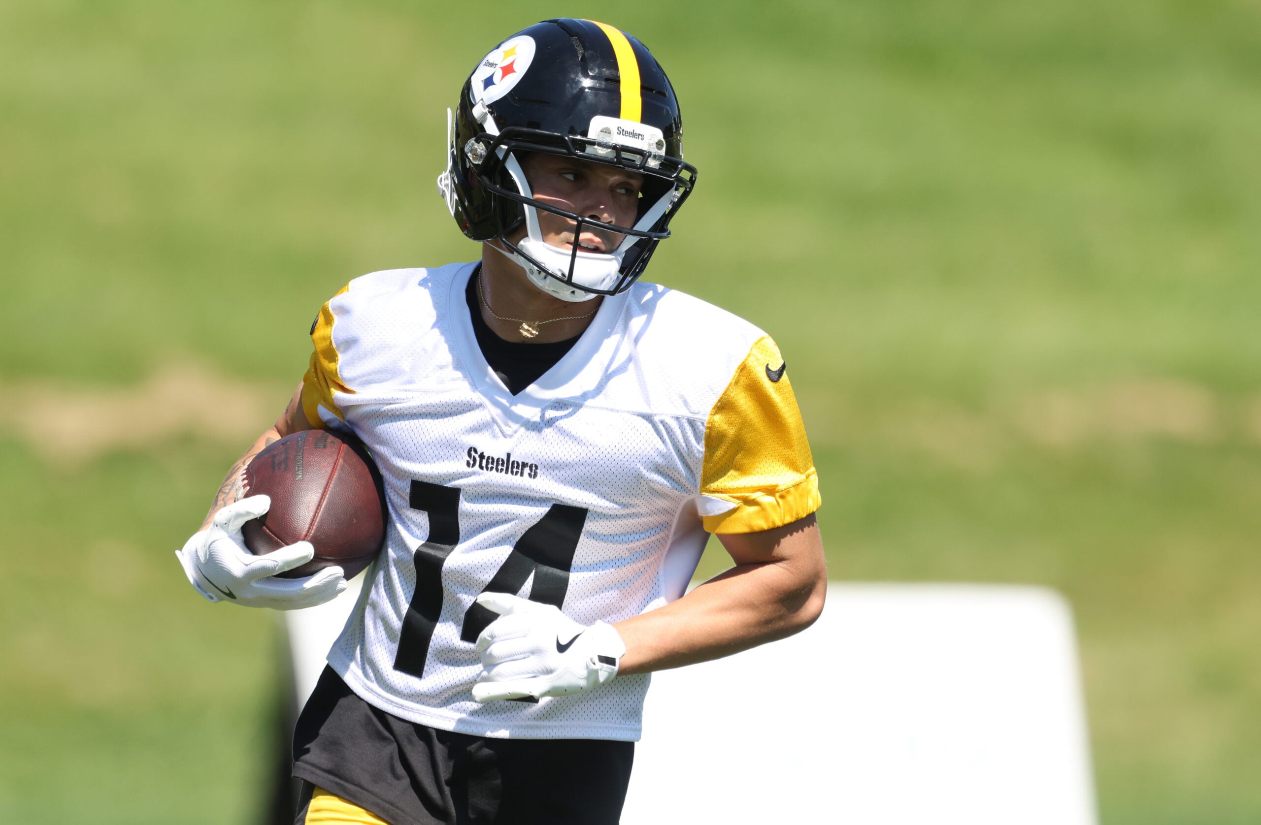 Grok simulates the Pittsburgh Steelers' 53-man roster and starting ...