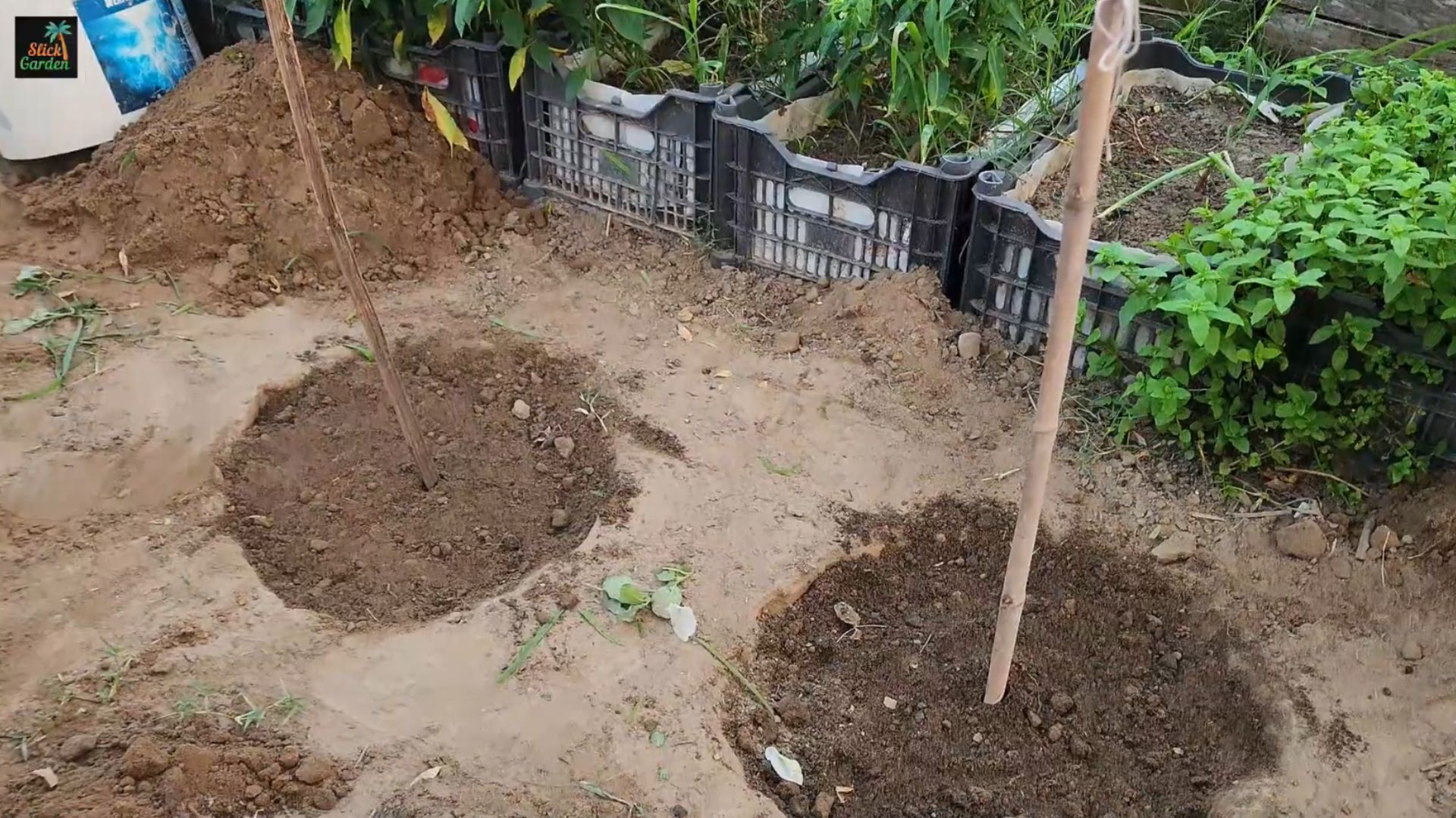 How to build rich soil from scratch: 2 easy methods