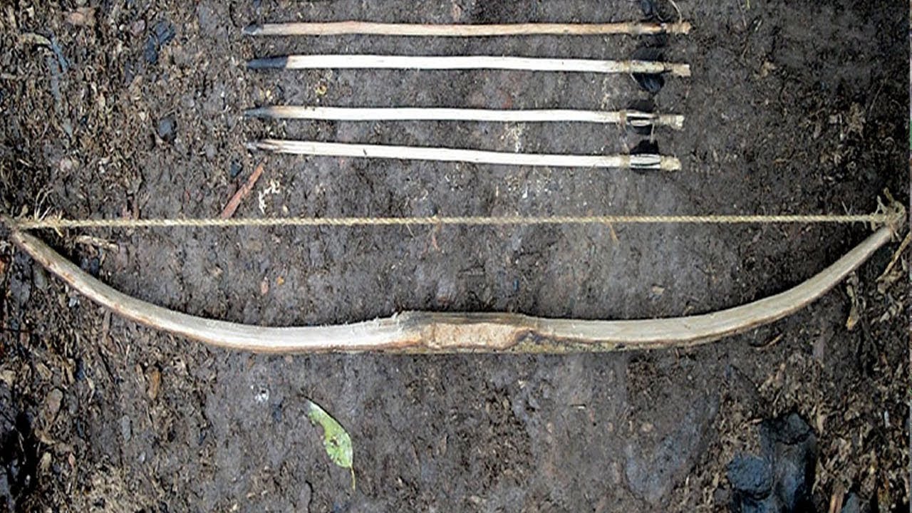 Primitive technology: Bow and arrow (primitive weapon)