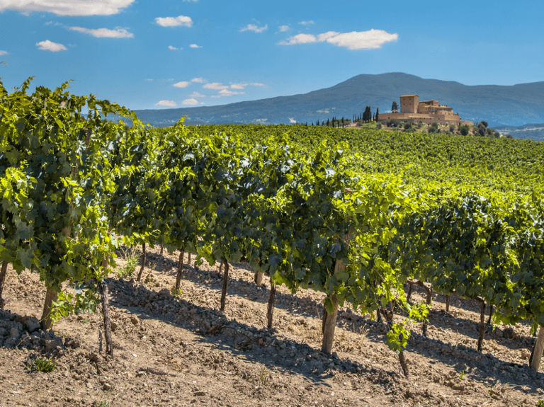 Road trip of the Chianti towns: Italy's famous wine region [2026 update]