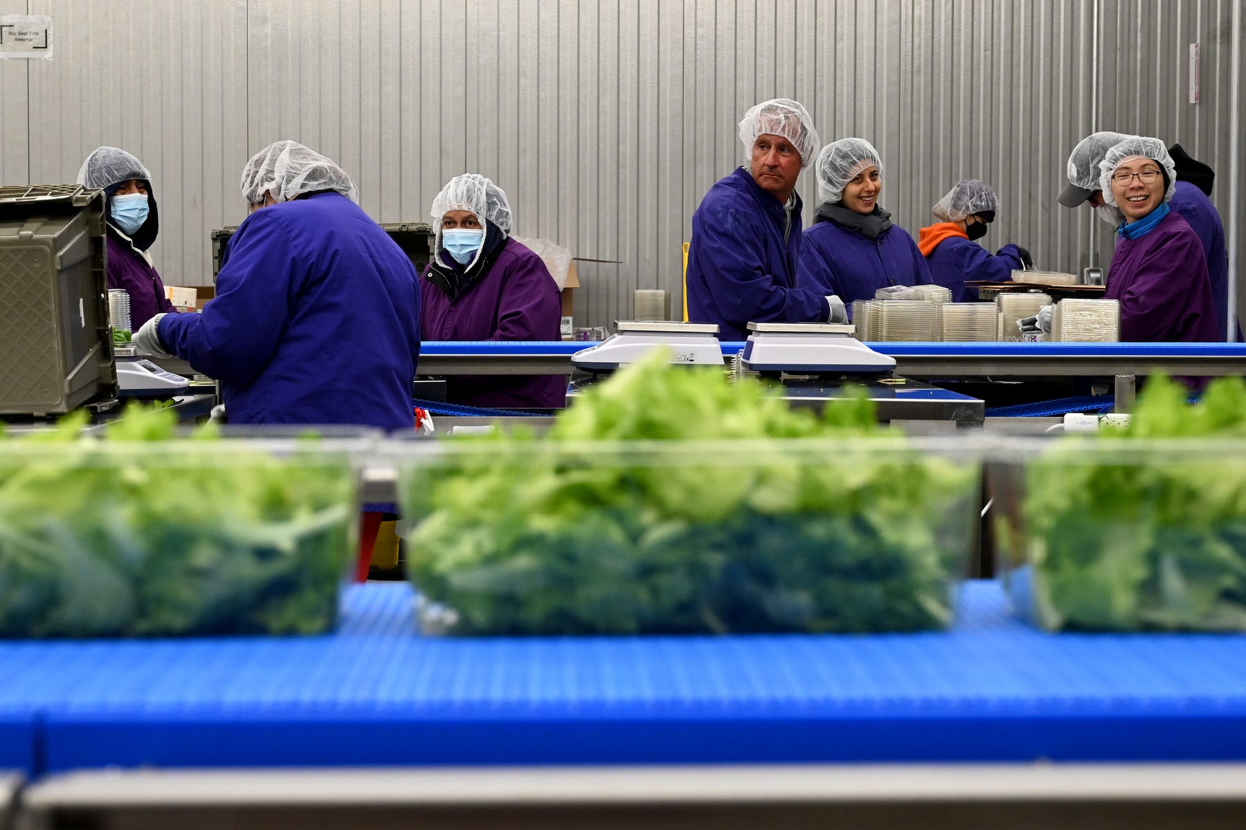 Vertical farming startup 80 Acres Farms with 300 workers shuts down