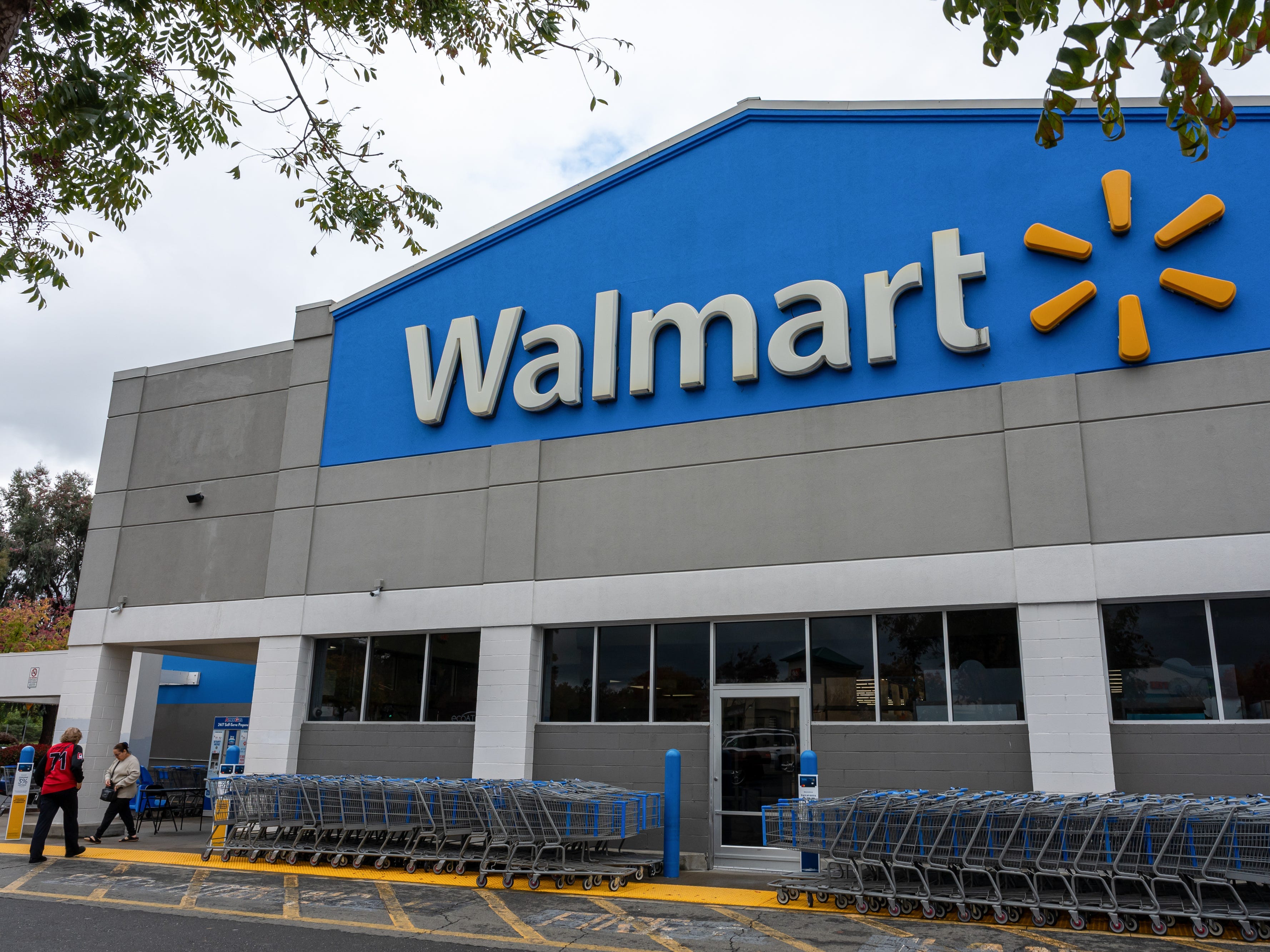 The creator of Walmart's vibe-coding tool Code Puppy is leaving for AI ...