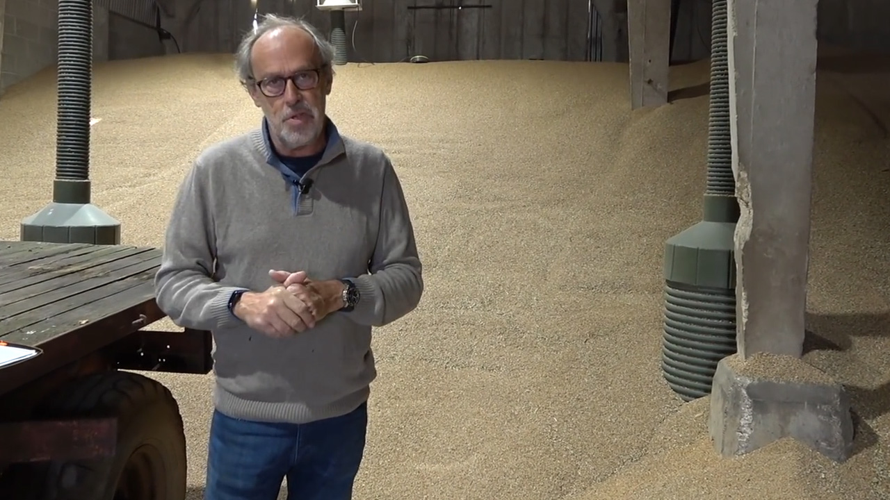 High wheat prices drive a new bold farm strategy