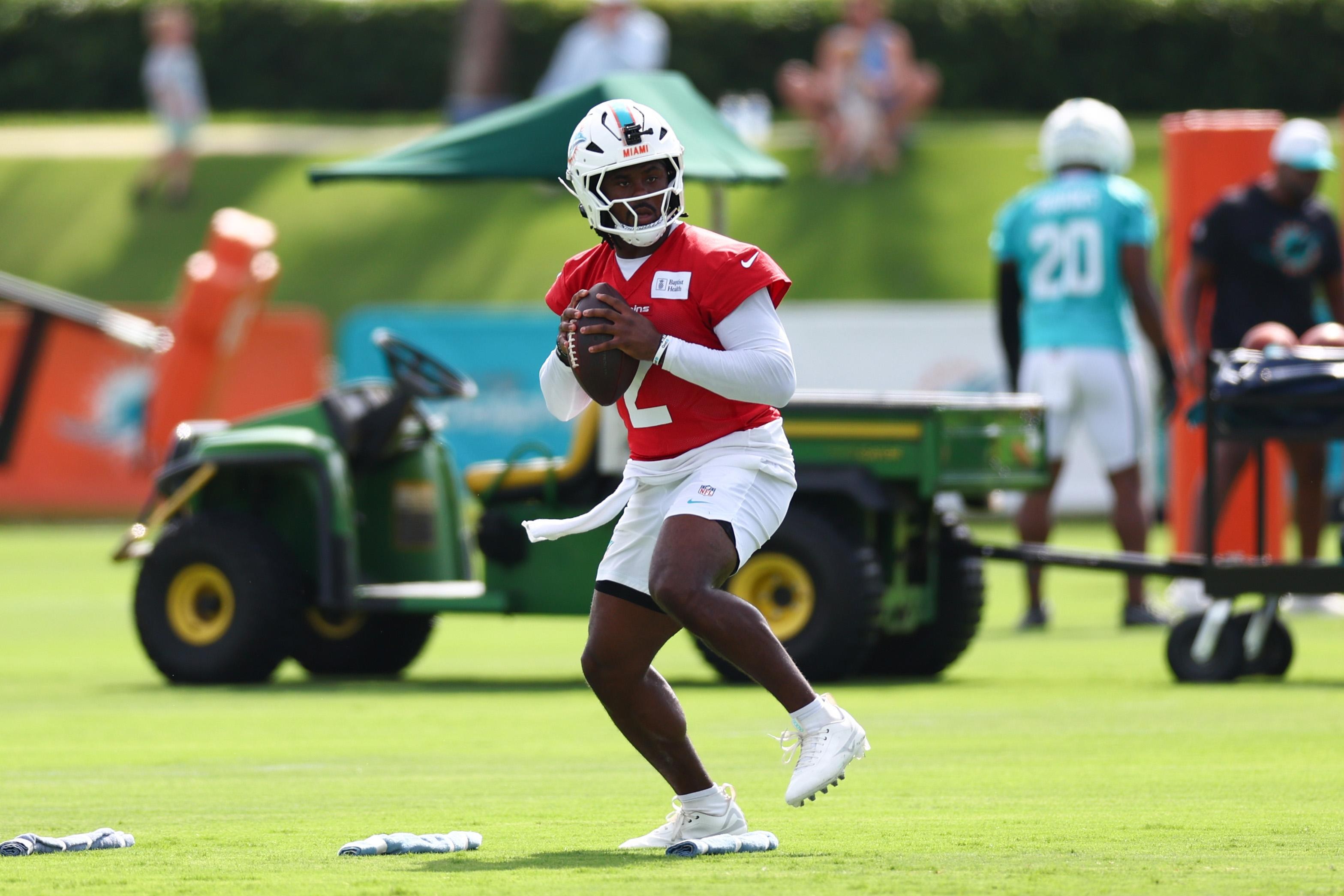 Miami Dolphins discussion: Who will carry the team edition
