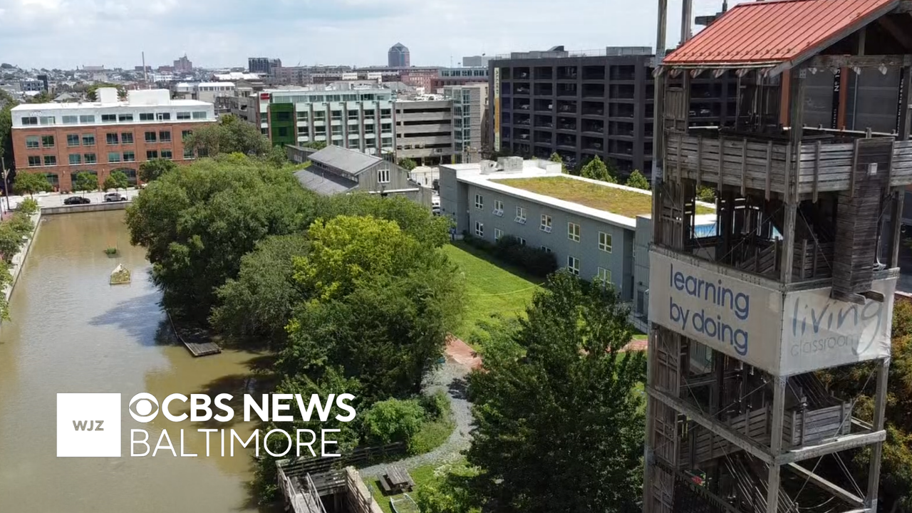 Police arrested a suspect in connection with a Baltimore harbor homicide