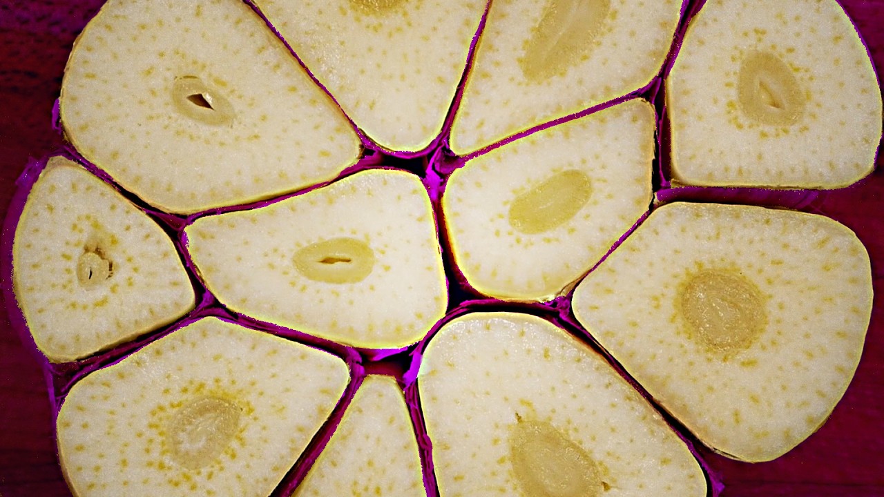 Why does garlic have cloves? The science of garlic reproduction explained!