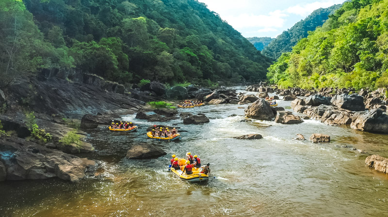 Guide to white water rafting Cairns [2026 update]