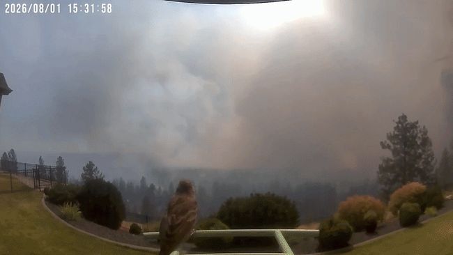 Nature cam shows 28-hour progression of Spokane fire