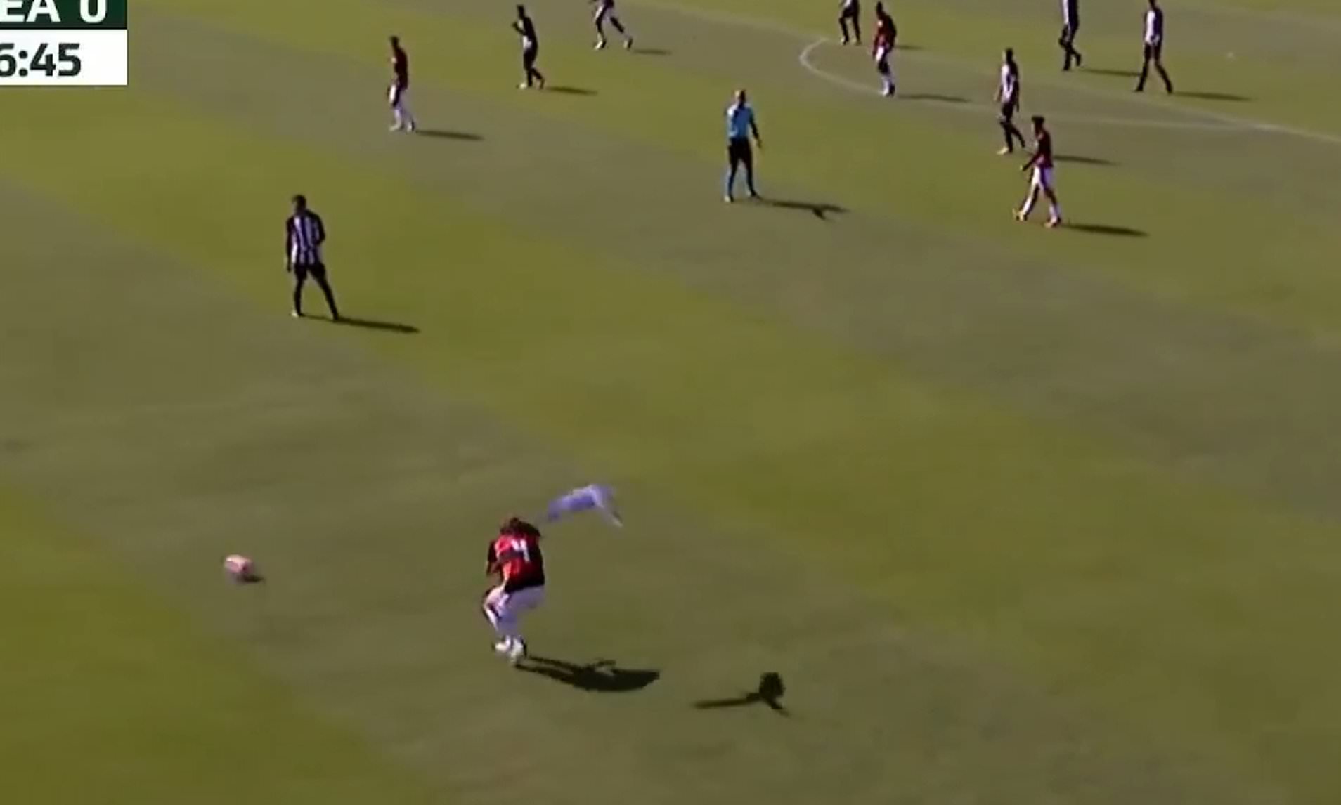 Incredible moment Brazilian youth game is stopped as parrot attacks player