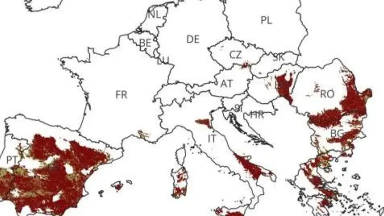 España, en riesgo de desertificación: es el país de Europa más afectado por el desgaste del suelo, según un nuevo estudio de la UE