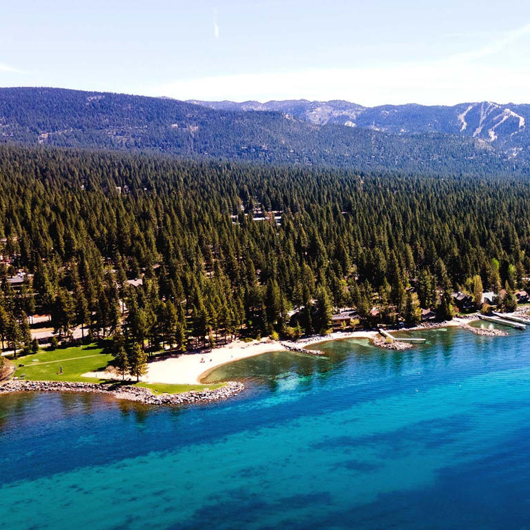 Sheriff investigates tree poisonings at Burnt Cedar Beach in Tahoe