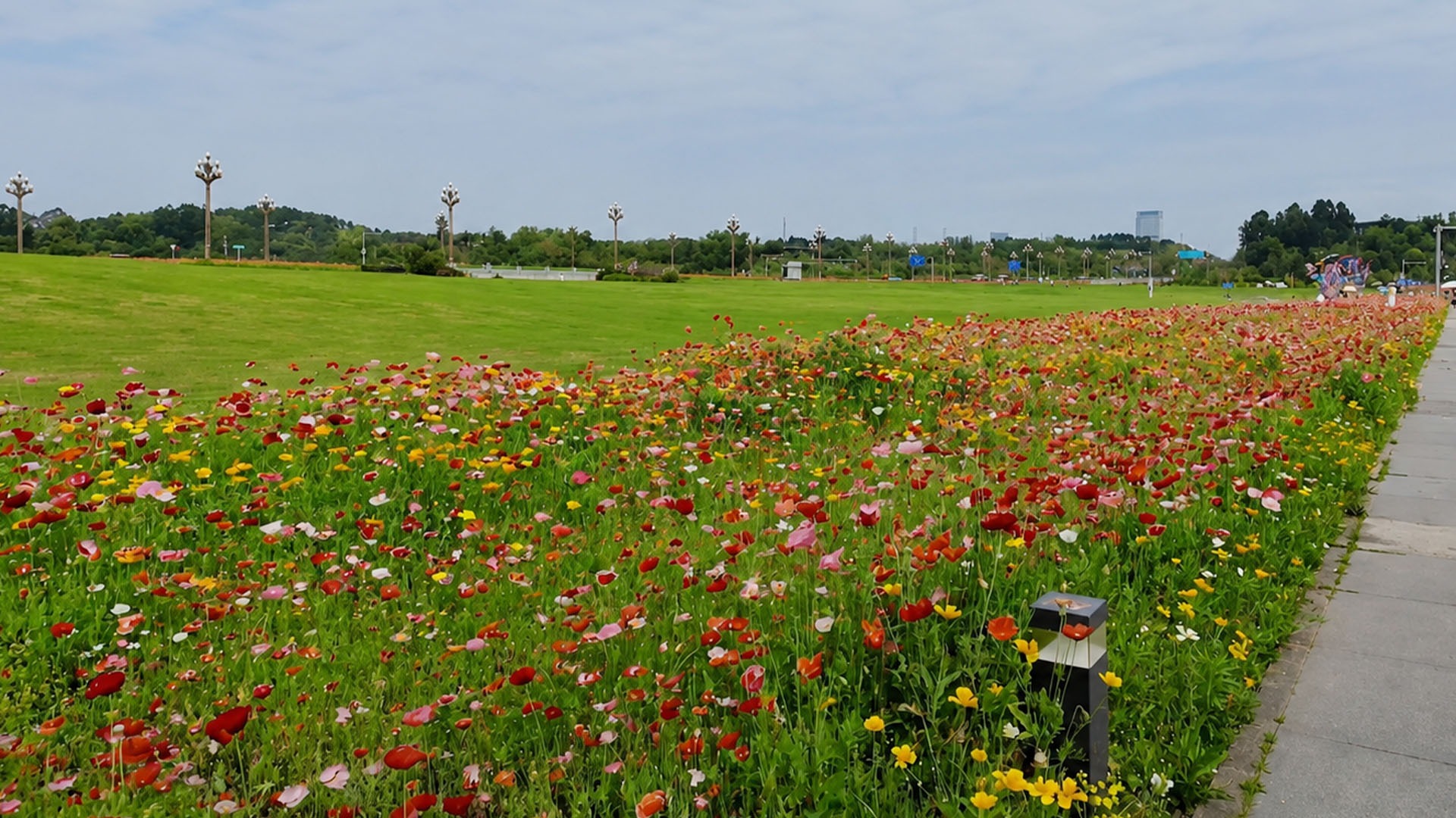 Blooming floral landscape extends along elegant park walkway with lush ...