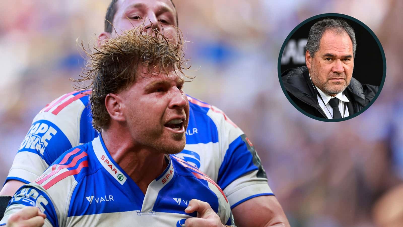 Sir Steve Hansen: Stormers will want to 'rip the All Blacks head off' as their job is to 'beat the s— out' of them for the Springboks