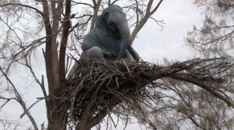 Stranger finds a mysterious elephant in a tree and discovers the truth