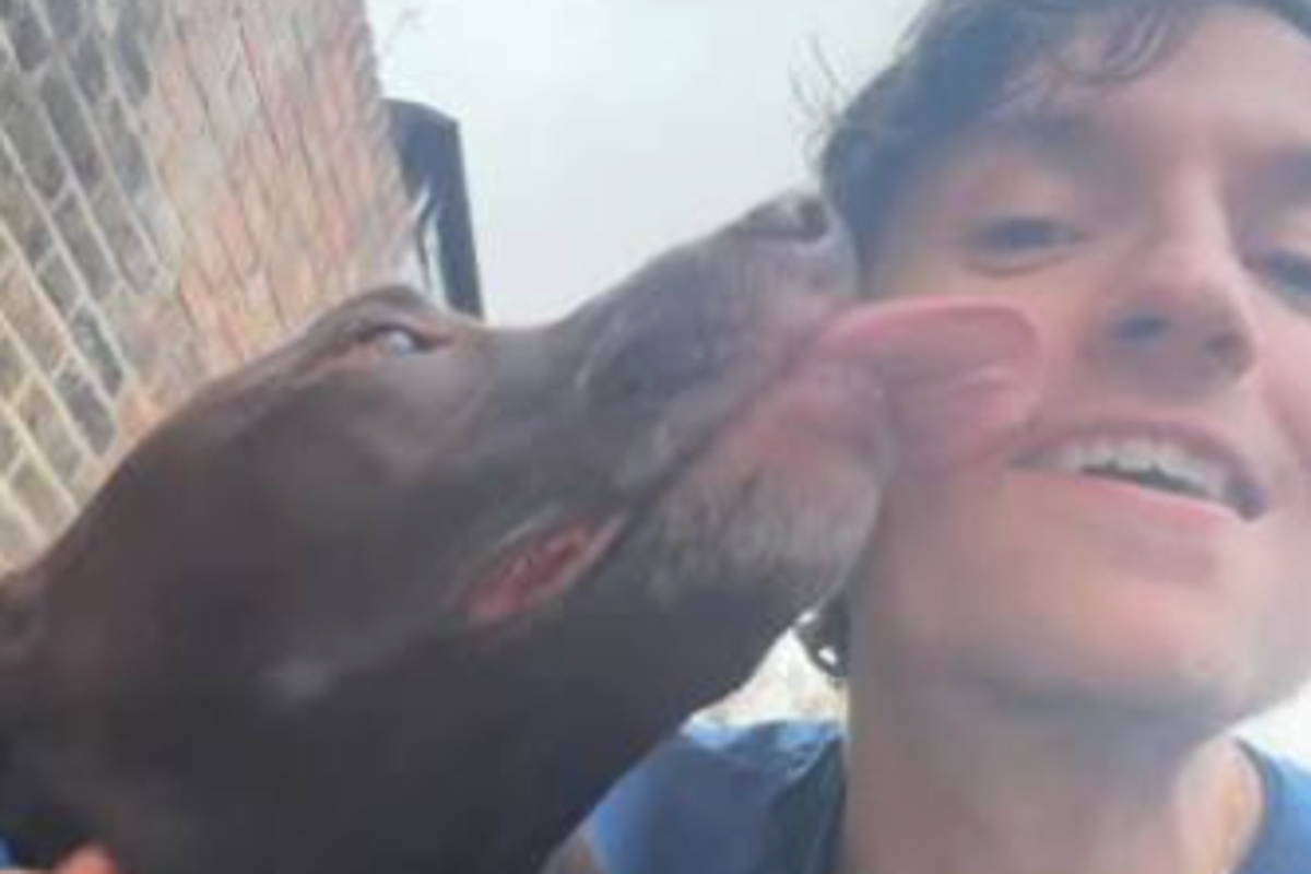 Greg James supported by BBC colleagues after announcing death of dog