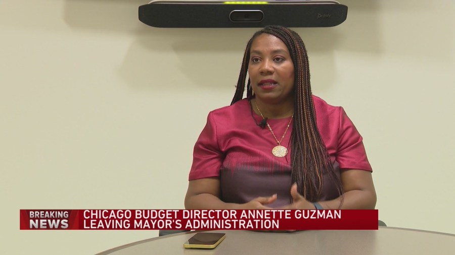 Mayor Brandon Johnson's budget director steps down