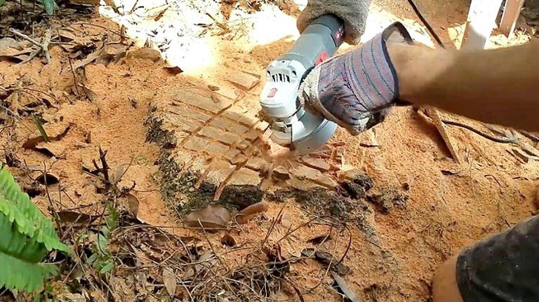 He uses an angle grinder to remove a stump: 'Thank you for saving me time'