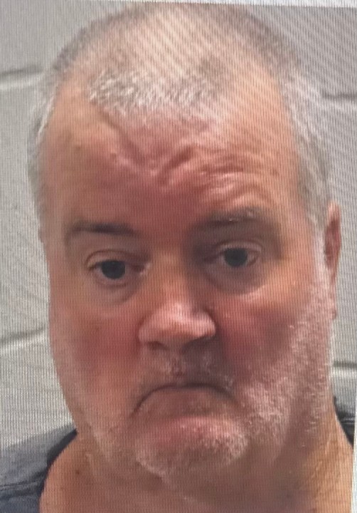28 dogs found dead at Henry County home, owner arrested