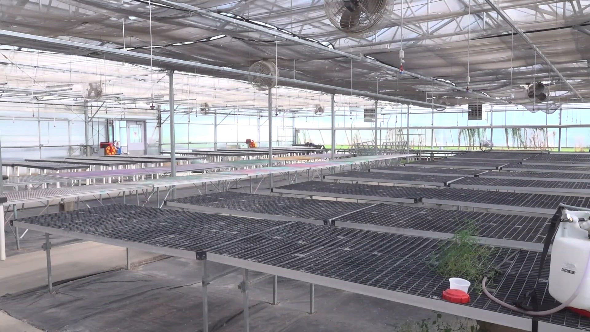 Agriscience program to return to DMPS with new teacher, revamped curriculum