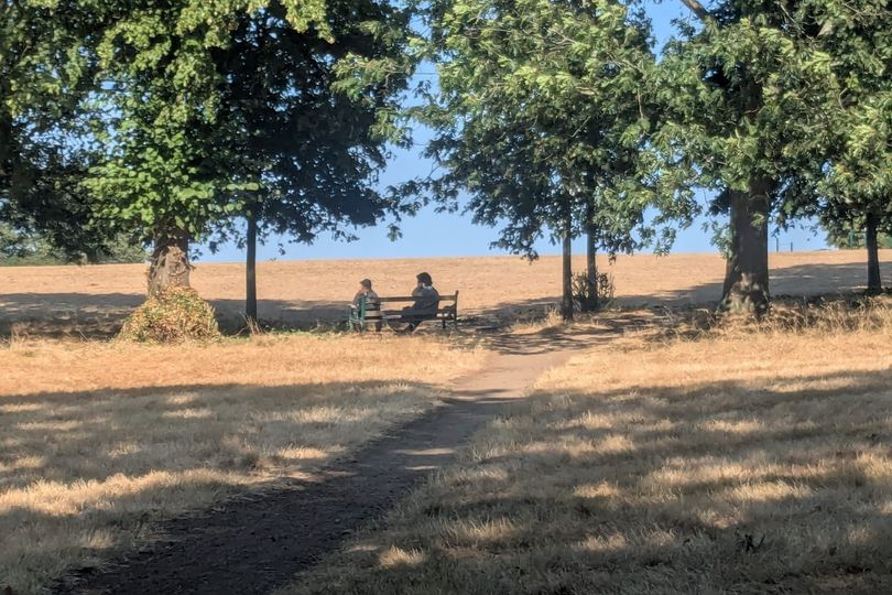 When BBC and Met Office think Surrey rain is possible as south east continues to bake under heatwave