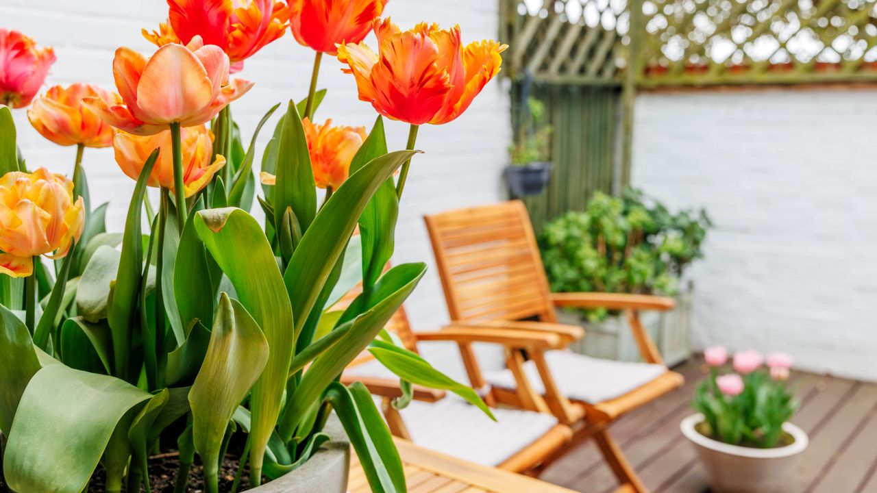 8 small garden design mistakes that are easy to make, but simple to avoid