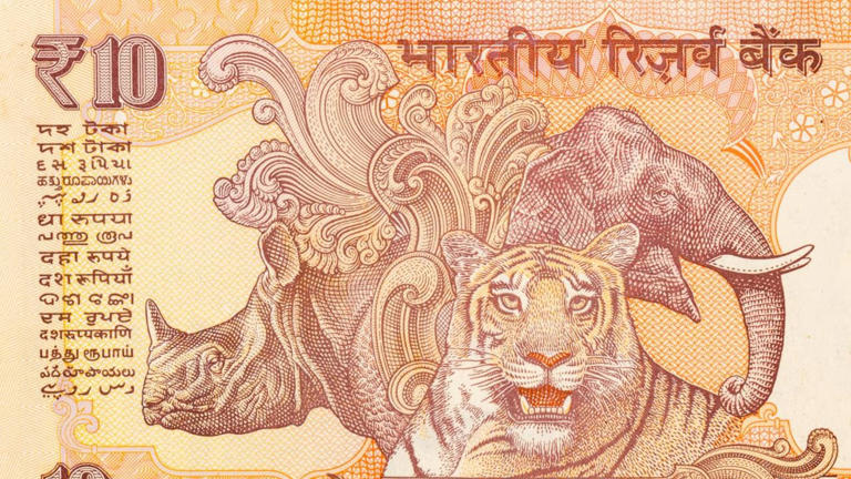 Old Rs 10 note secrets: The fascinating reason behind its wildlife ...