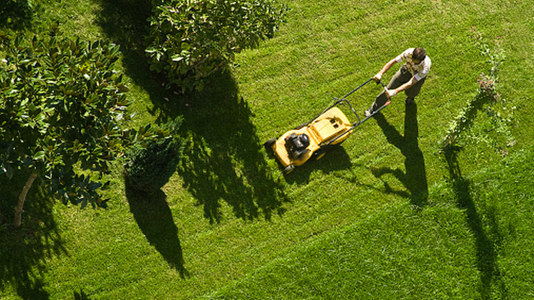 What your lawn mower needs in August to keep running smoothly