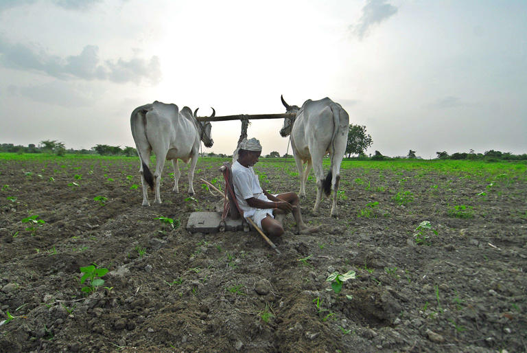 Maharashtra extends accident relief scheme for farmers